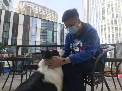 一生負氣成今日，一騎白馬開吳疆——會計學(xué)院排球隊挺進決賽